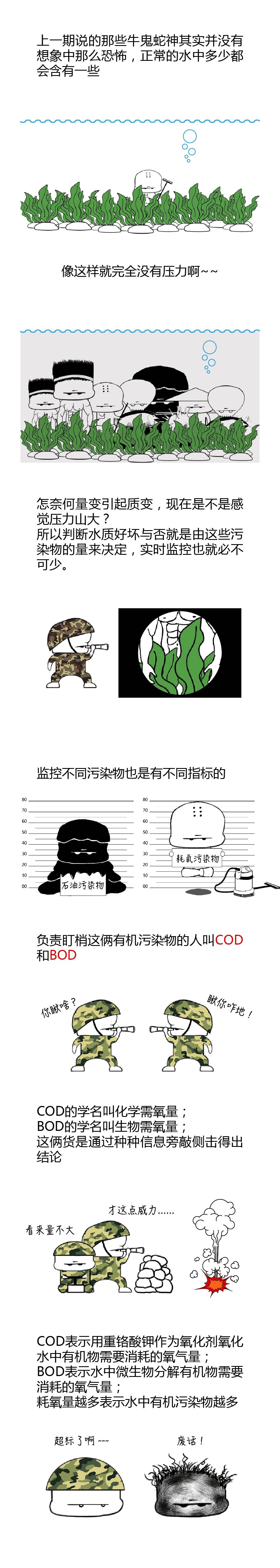 COD、BOD、TP、TN最接地氣的解釋